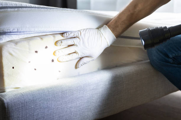 Best Best Pest Control Companies  in Hybla Lley, VA