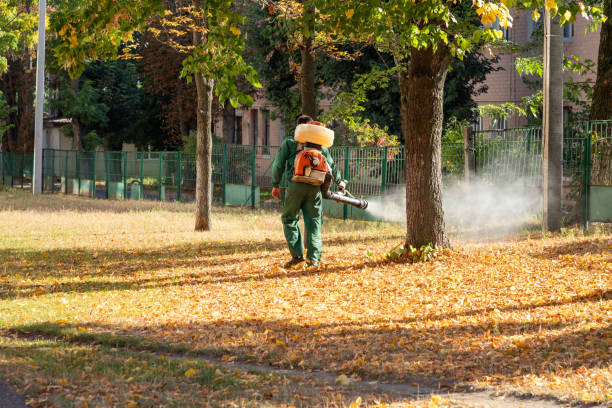 Best Best Pest Control Companies  in Hybla Lley, VA