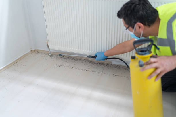 Best Pest Control for Businesses  in Hybla Lley, VA