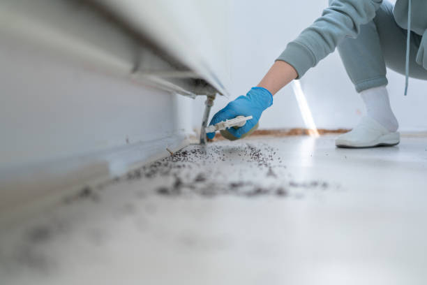 Best Exterminator Services  in Hybla Lley, VA